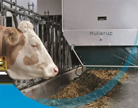 cnc automatic feeding machine|automated feeding systems for dairy.